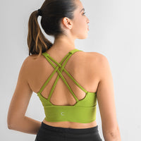 Tampa Sports Bras